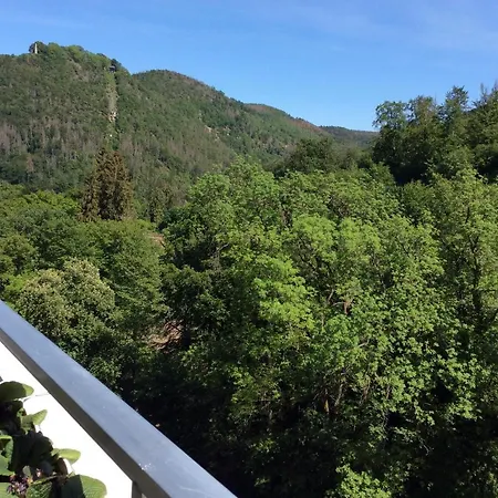 Apartamento Relax Im Wald Bad Harzburg Exterior foto