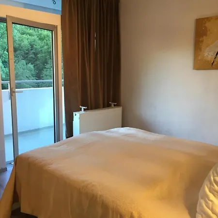 Apartamento Relax Im Wald Bad Harzburg Exterior foto