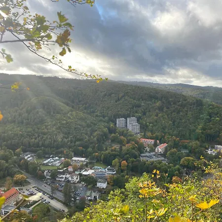 Apartamento Relax Im Wald Bad Harzburg Exterior foto