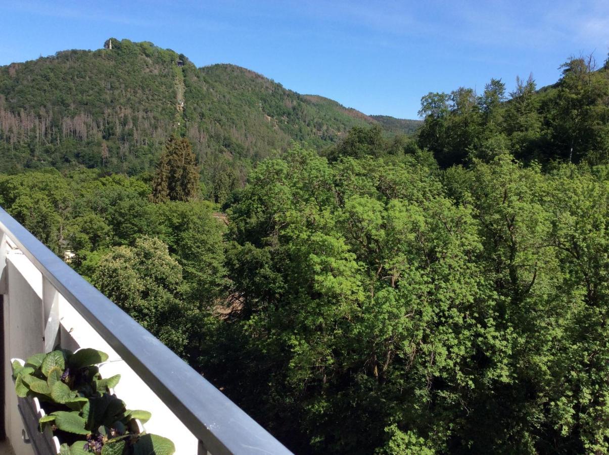 Relax Im Wald Apartment *