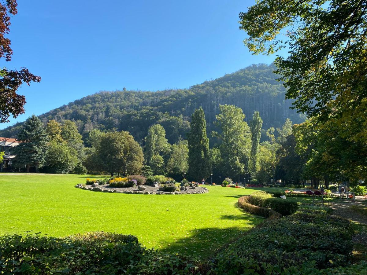 Apartamento Relax Im Wald *