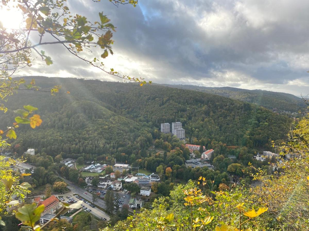Relax Im Wald * Bad Harzburg
