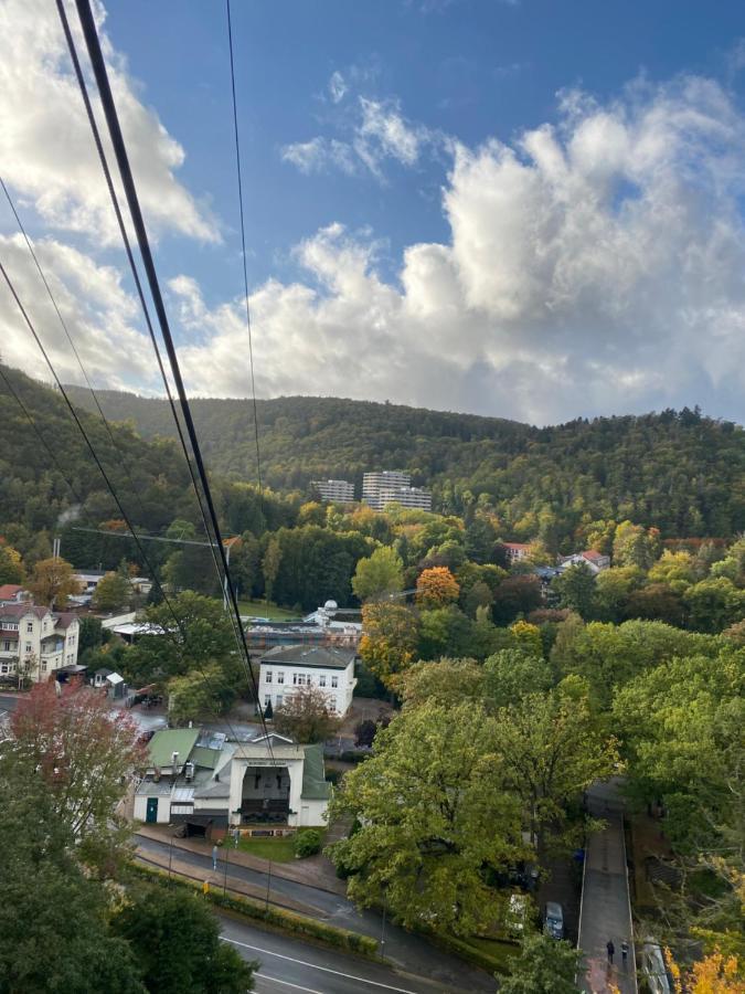 Relax Im Wald * Bad Harzburg